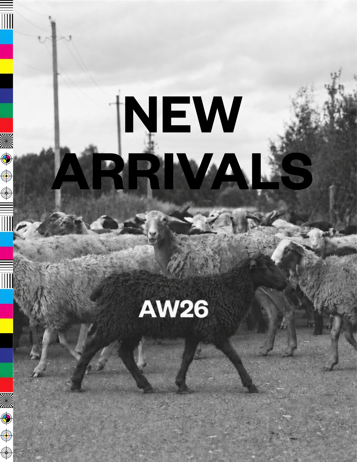 New Arrivals